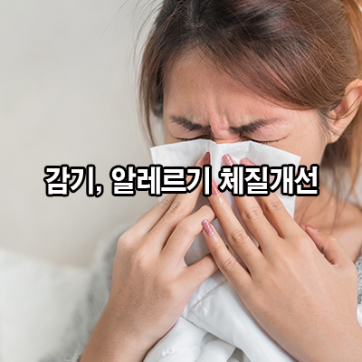 감기, 알레르기 체질개선